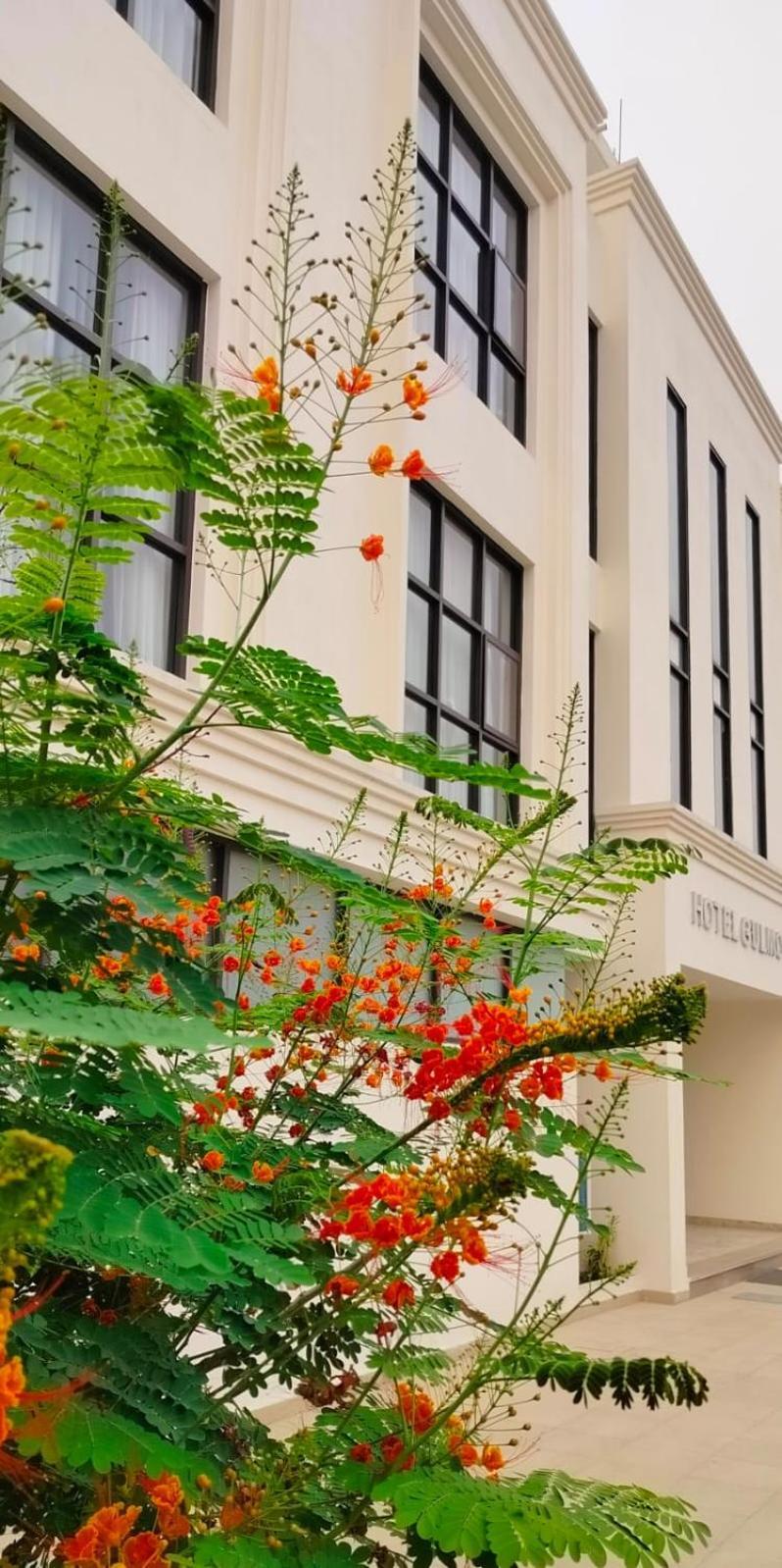 Hotel Gulmohar Bharatpur  Exteriér fotografie